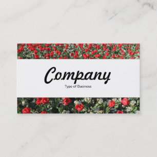 Cartão De Visita Banda central - Tulipas vermelhas e primatas