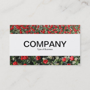 Cartão De Visita Banda central - Tulipas vermelhas e primatas