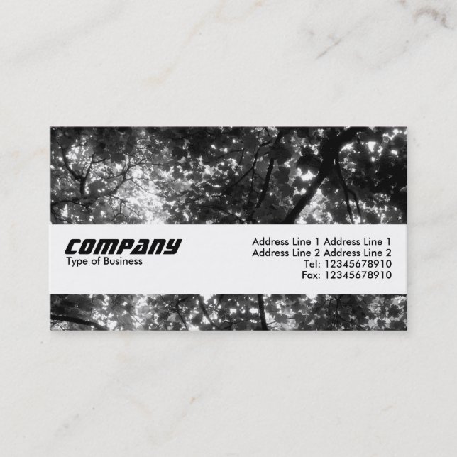 Cartão De Visita Banda de Textura - Nas Árvores II (Frente)