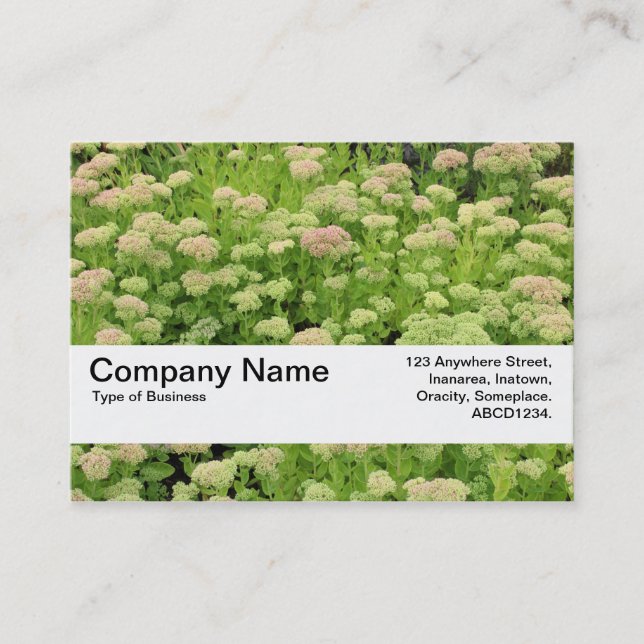 Cartão De Visita Banda de Textura V2 - outono Azul (Frente)