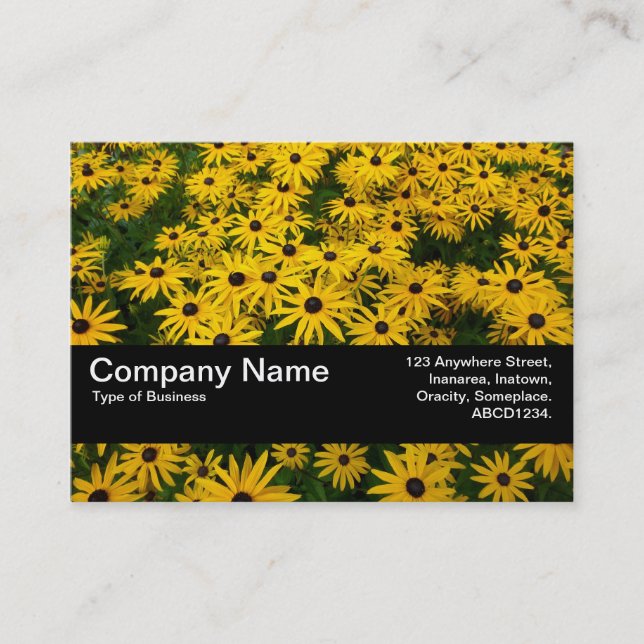 Cartão De Visita Banda de Textura V2 - Susanos de Olhos Negros (Rud (Frente)