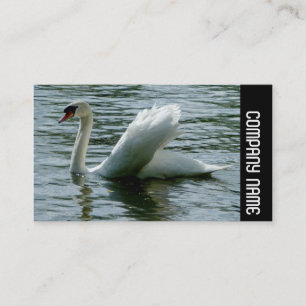 Cartão De Visita Banda lateral - Cisne