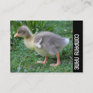 Cartão De Visita Banda lateral - Dissolver 02