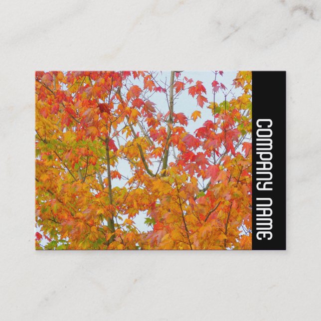 Cartão De Visita Banda lateral - Folhas do outono (Frente)