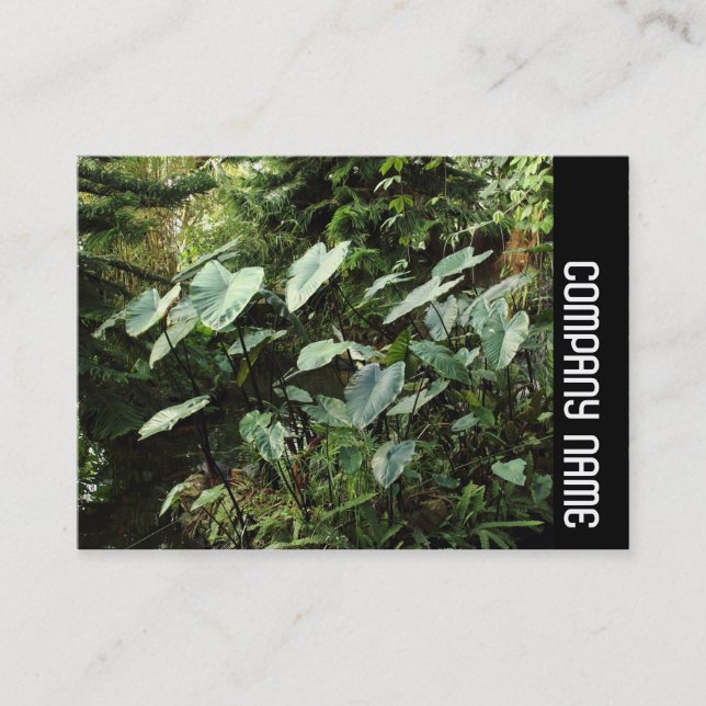 Cartão De Visita Banda lateral - Jardins botânicos (Frente)