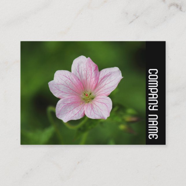 Cartão De Visita Banda lateral - Lado (Frente)