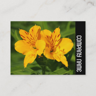 Cartão De Visita Banda lateral - Lírios peruanos