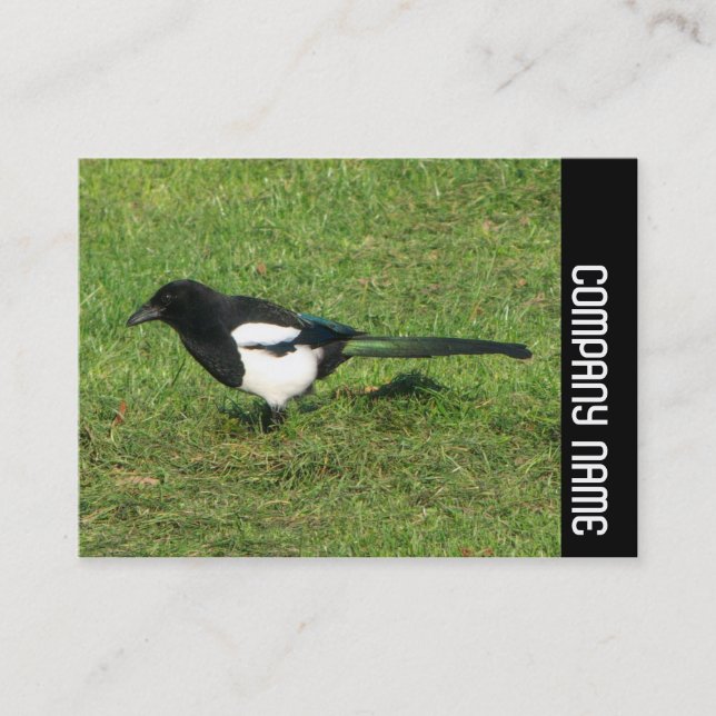 Cartão De Visita Banda lateral - Magpie europeu (Frente)