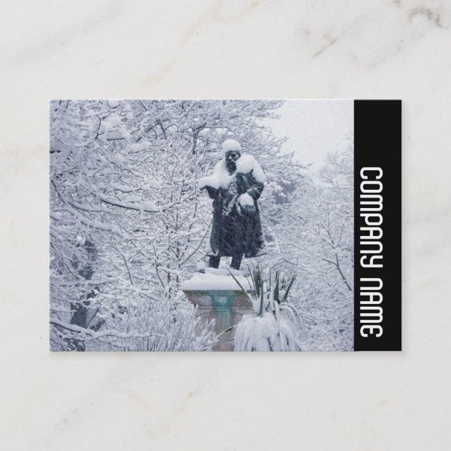 Cartão De Visita Banda lateral - Neve no parque (Frente)