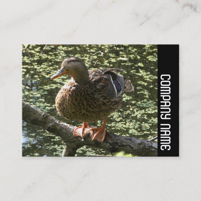 Cartão De Visita Banda lateral - Pato feliz (Frente)