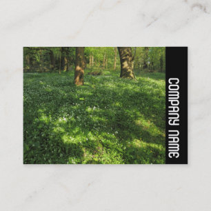 Cartão De Visita Banda lateral - Primavera na floresta