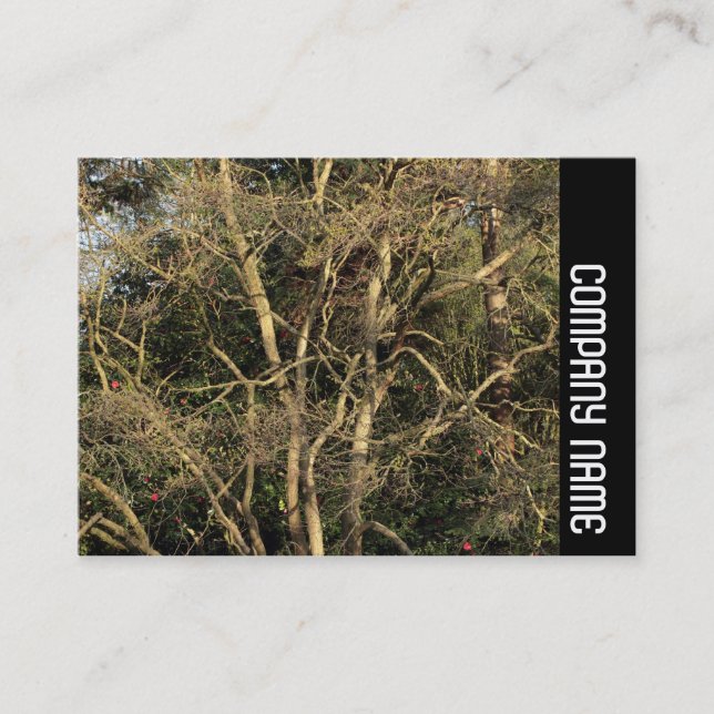 Cartão De Visita Banda lateral - Ramificações do Ouro (Frente)