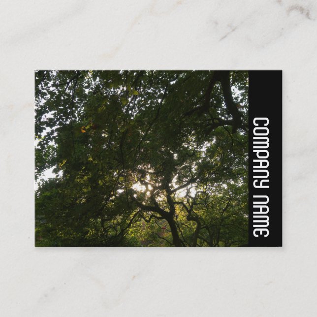 Cartão De Visita Banda lateral - Ramificações japonesas 04 (Frente)