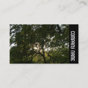 Cartão De Visita Banda lateral - Ramificações japonesas 04