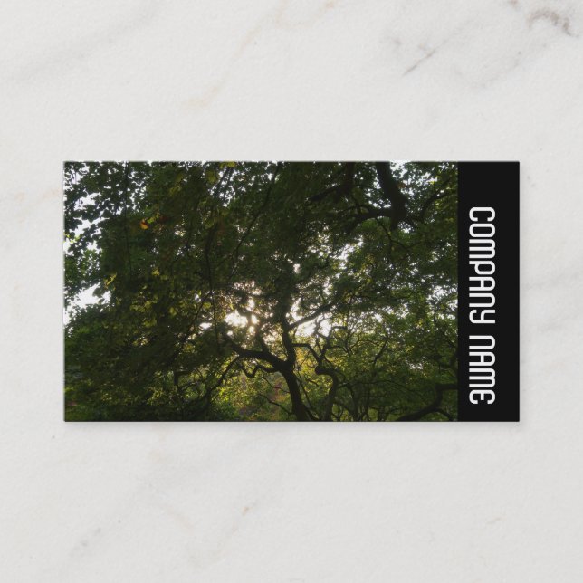 Cartão De Visita Banda lateral - Ramificações japonesas 04 (Frente)