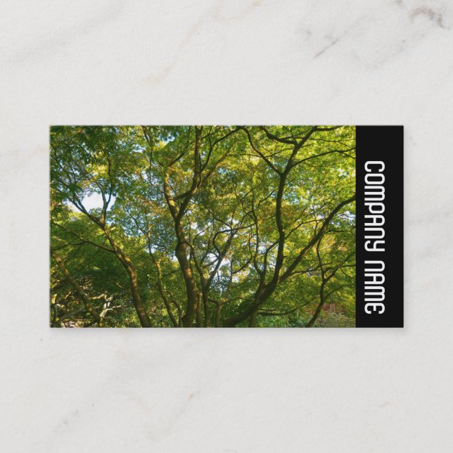 Cartão De Visita Banda lateral - Ramificações japonesas 06 (Frente)