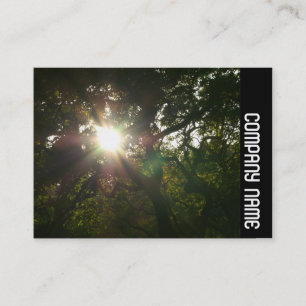 Cartão De Visita Banda lateral - Ramificações japonesas 07