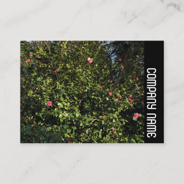 Cartão De Visita Banda lateral - Red Camellia Bush (Frente)