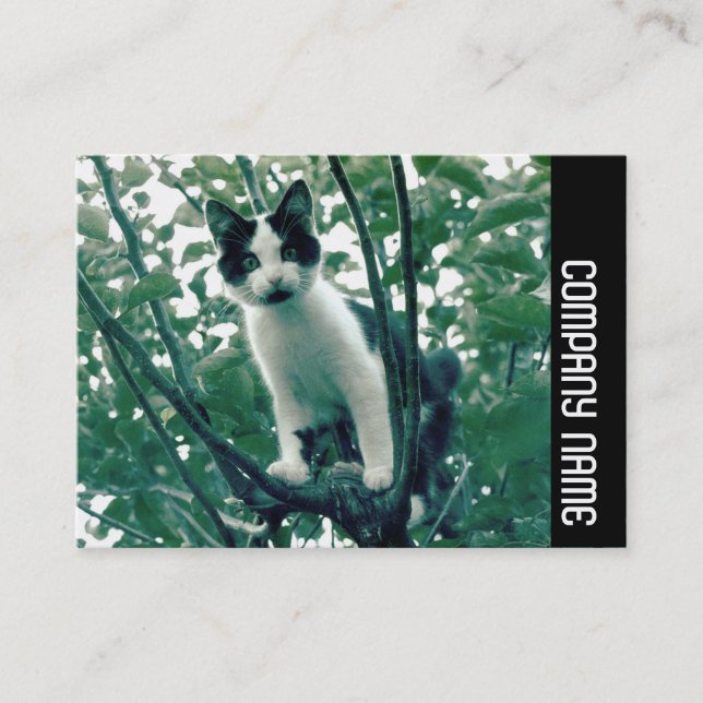 Cartão De Visita Banda lateral - Superfluidade da travessura (Frente)