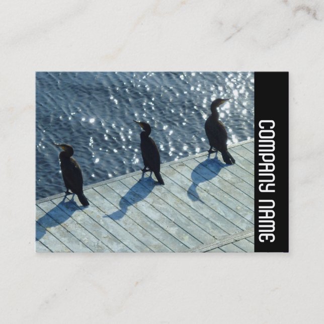 Cartão De Visita Banda lateral - três Cormorants (Frente)