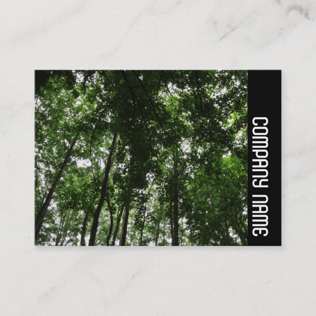 Cartão De Visita Banda lateral - Woodland Canopy 01 (Frente)