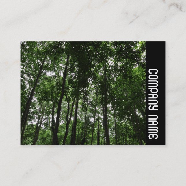 Cartão De Visita Banda lateral - Woodland Canopy 02 (Frente)