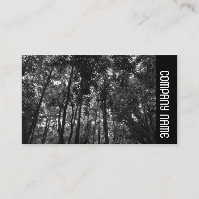 Cartão De Visita Banda lateral - Woodland Canopy 02 BW (Frente)
