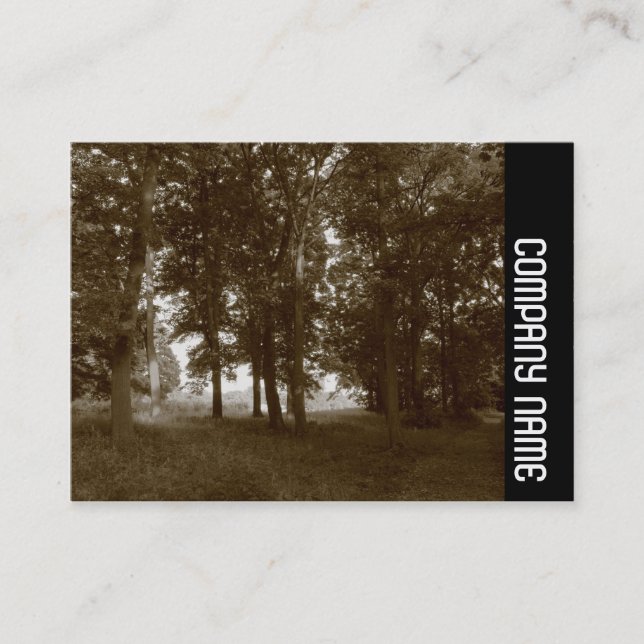 Cartão De Visita Banda lateral - Woods, Bute Park Cardiff - Sepia t (Frente)
