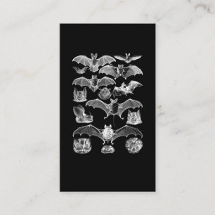 Cartão De Visita Bats Night Microbat Night View Creepy Gótico
