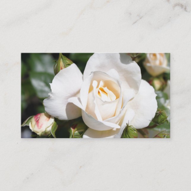 Cartão De Visita Bela, elegante profissional de flores brancas (Frente)