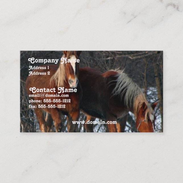 Cartão de visita belga do cavalo de esboço (Frente)