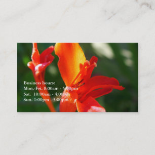 Cartão De Visita belo perfil profissional das flores vermelhas do v
