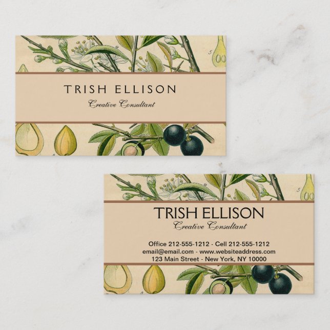 Cartão De Visita Berry Impressão Botânico Antiquado Blackthorn (Frente/Verso)