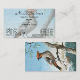 Cartão De Visita Bird Study de George Edwards (1694-1773)