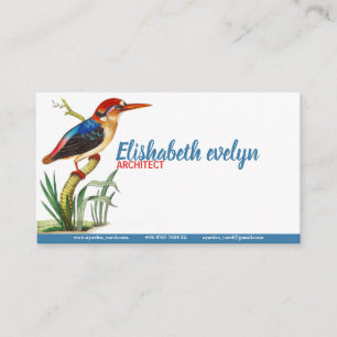 Cartão De Visita Birds Kingfisher Vintage Art