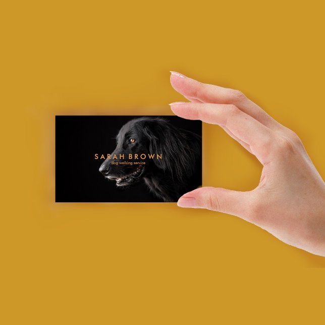 Cartão De Visita Black Labrador Dog Walker/Pet Sitter/Groomer (Black Labrador Dog Walker/Pet Sitter/Groomer Business Card)