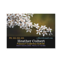 Blossom Bliss Cuidadores Profissionais