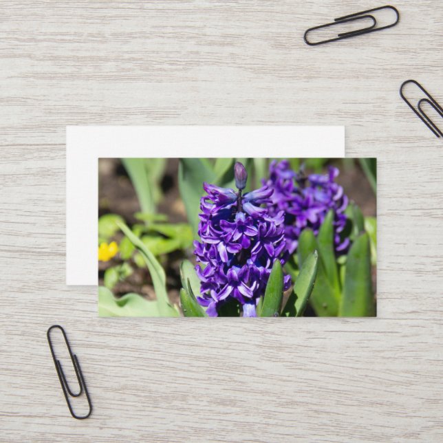 Cartão De Visita Blue Geocinth em primavera (Frente/Verso In Situ)