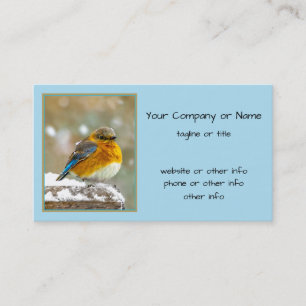 Cartão De Visita Bluebird oriental na neve - Foto original