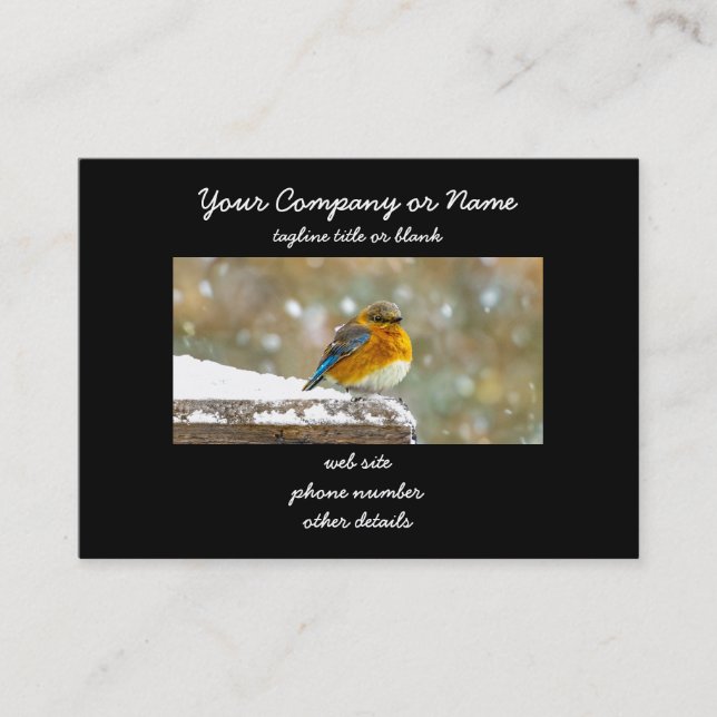 Cartão De Visita Bluebird oriental na neve - Foto original (Frente)