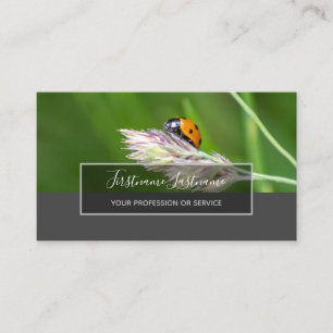 Cartão De Visita Boa sorte ladybugs elegantes retângulo de cinza