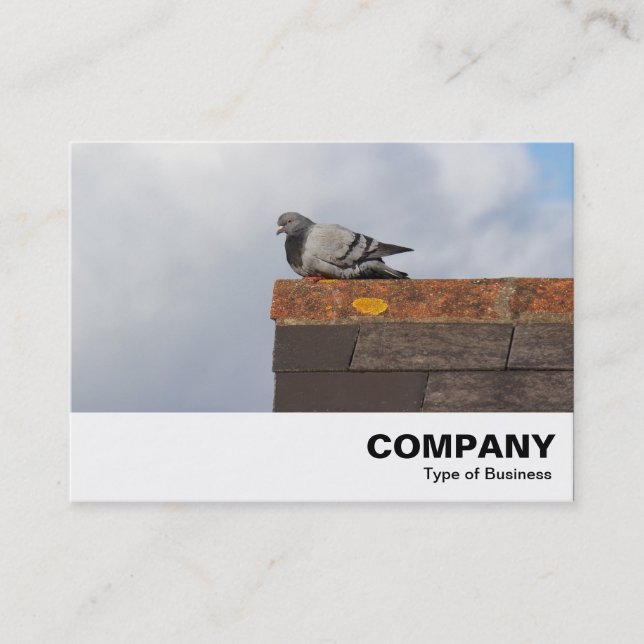 Cartão De Visita Bom dia, pombo (Frente)