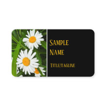 bonito margarida branca flores fotografia natural