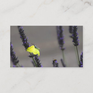 Cartão De Visita Borboleta Amarela na Foto Macro de Lavanda Roxa
