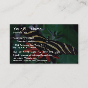 Cartão De Visita Borboleta da zebra na flor flamejante mexicana da