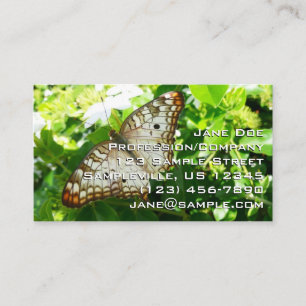 Cartão De Visita Borboleta sobre Fotografia da Natureza Tropical de