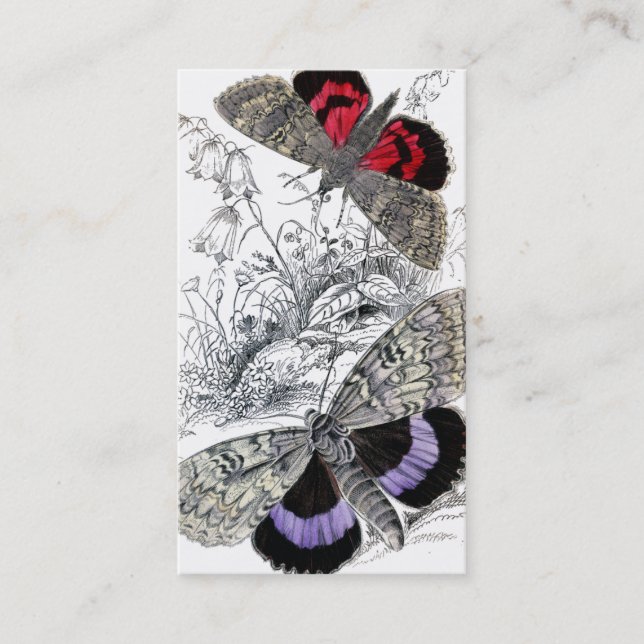 Cartão De Visita Borboletas (Frente)