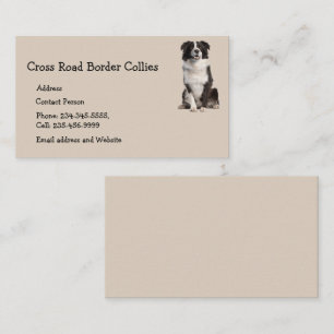 Cartão De Visita Borda Personalizada Collies Cog Pet Animal Logotip