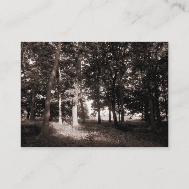 Cartão De Visita Bordo da floresta (Frente)