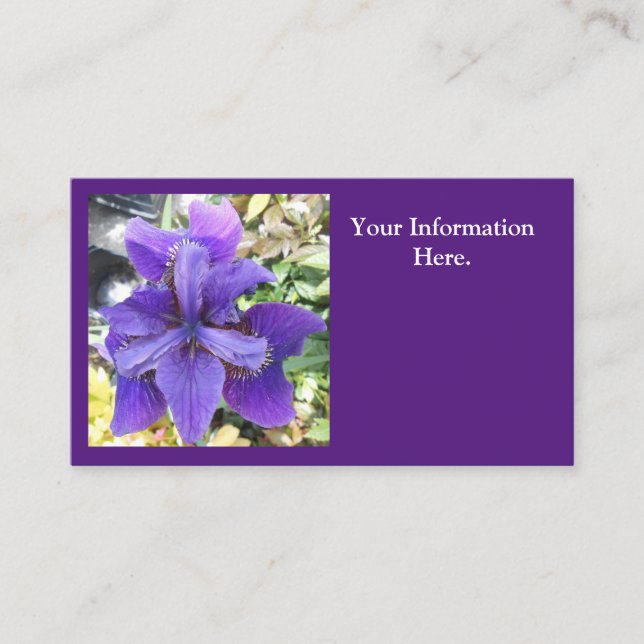 Cartão De Visita Brandeis (Frente)